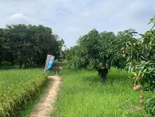 歸仁市區約689坪都計內優值農地-W002