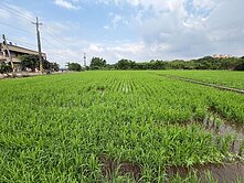 八德新霄裡面寬增值農地