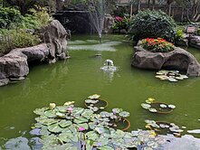 中研院 🍎 [康詩丹郡]豪邸 🍎