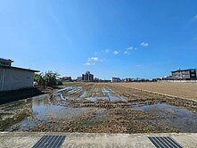 竹北30米大面寬方正美田 ❤️燕子報喜❤️