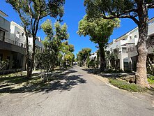 心中日月朝南孝親別墅(專任)