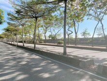霧峰區~正40米路大坪數漂亮方正農地