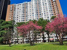 北大萬寶隆公園兩房