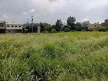 大降價!新坡市區560坪農地