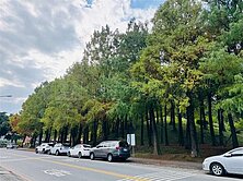 永兆豐團隊🏆親友專任羅運透天稀有釋出