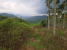 多筆可選~可投資近市區緩坡便宜視野景觀農牧用地~