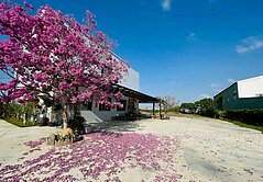 獨家找芊妤🍁埔鹽員鹿路一彎千坪農地9年花園農舍