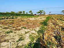 佳里成功路上低總價開心農場