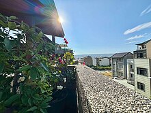 ☘️中興新村北營國中旁~臨路邊間花園別墅