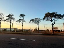 專任! 買到賺到 大甲經國路大面寬都市計畫農地