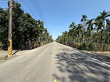 🍊屏東萬巒185縣道沿山公路🔺2分半臨路農地