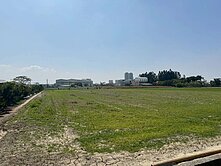 善化六分寮733坪方正農地