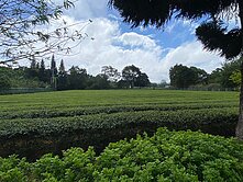 龍潭陸總部一般農業區10米路農地