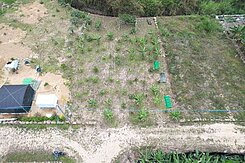 【南投縣｜專任】竹山有水有電都計內小農場