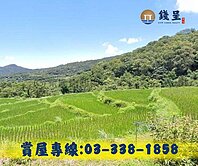 錢呈團隊♦新北貢寮山坡地林地+農牧+丙建(可分開)