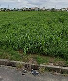 鹿草下潭低價農地(專約)