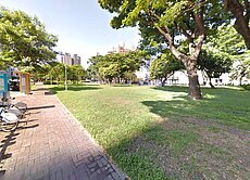 左營巨蛋四大房車位(近公園)