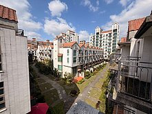 桃園林口長庚➕亞昕💖花與樹💖社區豪墅