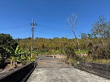 高雄幸福杉林走進山林秘境農地14F231