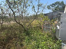 嘉義住商一銀 竹崎東義路旁農地