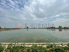 蘆竹區方正美農地