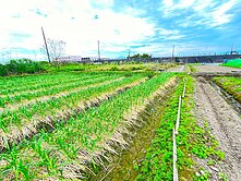  188萬宜蘭河岸300坪農地~地主說喜歡出價談!