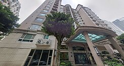 🍍旺宅~靜雯推薦/A9稀有夢想之都漂亮2房車