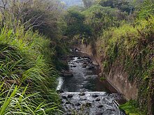 新社湳嶺段🌟雙翠水壩∞食水嵙溪｜休閒農地