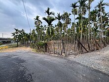 🧨屏東近麟洛火車站中正路農地
