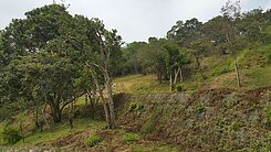 通宵土城段美土地