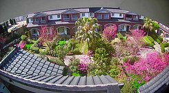 龍潭稀有大歐式花園別墅