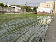 大村擺塘巷持分農地