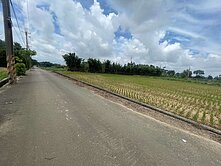 威盛✨富岡國小/富岡國中/富岡市區❤️方正美農地