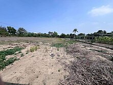 南區永成路旁都內3.7分美農地