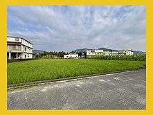 田園慢活首選🌿杉林花海旁2.6分農牧用地