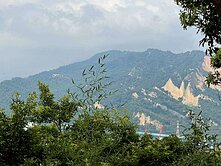 ⚜️大吉⚜️【外埔星月大地旁｜約2千坪景觀農地】