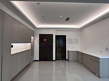 台南高鐵高檔裝潢三房平車