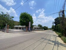 大樹井腳路福氣寶地