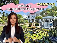 新埤國小旁|松柏香榭白宮豪邸莊園|地591坪