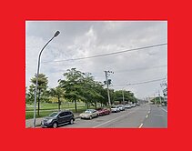 大樹臨路面寬60米漂亮農地