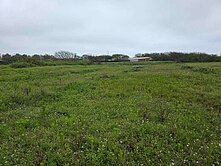 大園潮音二路一般農(準交通用地)