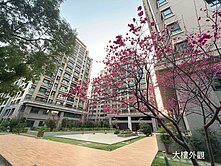 ✨✨旭光國小溫馨三房平車