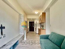 新光學區中高樓層2房+B1平車