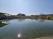 鶯歌高職旁養殖魚池