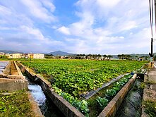 近美濃湖６７米大面寬都內漂亮農地⭐元寶團隊⭐