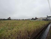 ❤️☞蘆竹方正一般農美農地☜❤️