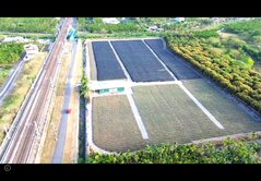 近麟洛火車站面寬216.6米農業用地