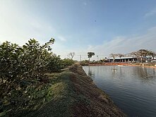 湖內臨東方路| 803坪超大農地|單坪6.79萬