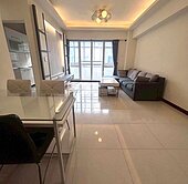 嘉義住商一銀 南帝王3+1房華廈