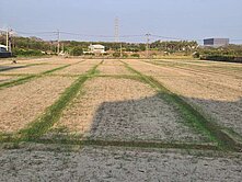 *路竹科學園區旁千坪方正農地釋出